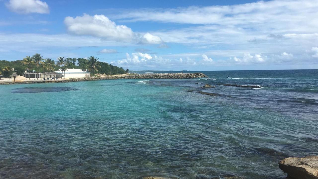סן-פרנסואה Studio Vue Mer Piscine Plage Kaz Punch Manganao Chez Julie מראה חיצוני תמונה