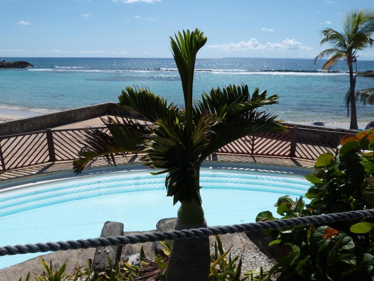סן-פרנסואה Studio Vue Mer Piscine Plage Kaz Punch Manganao Chez Julie מראה חיצוני תמונה