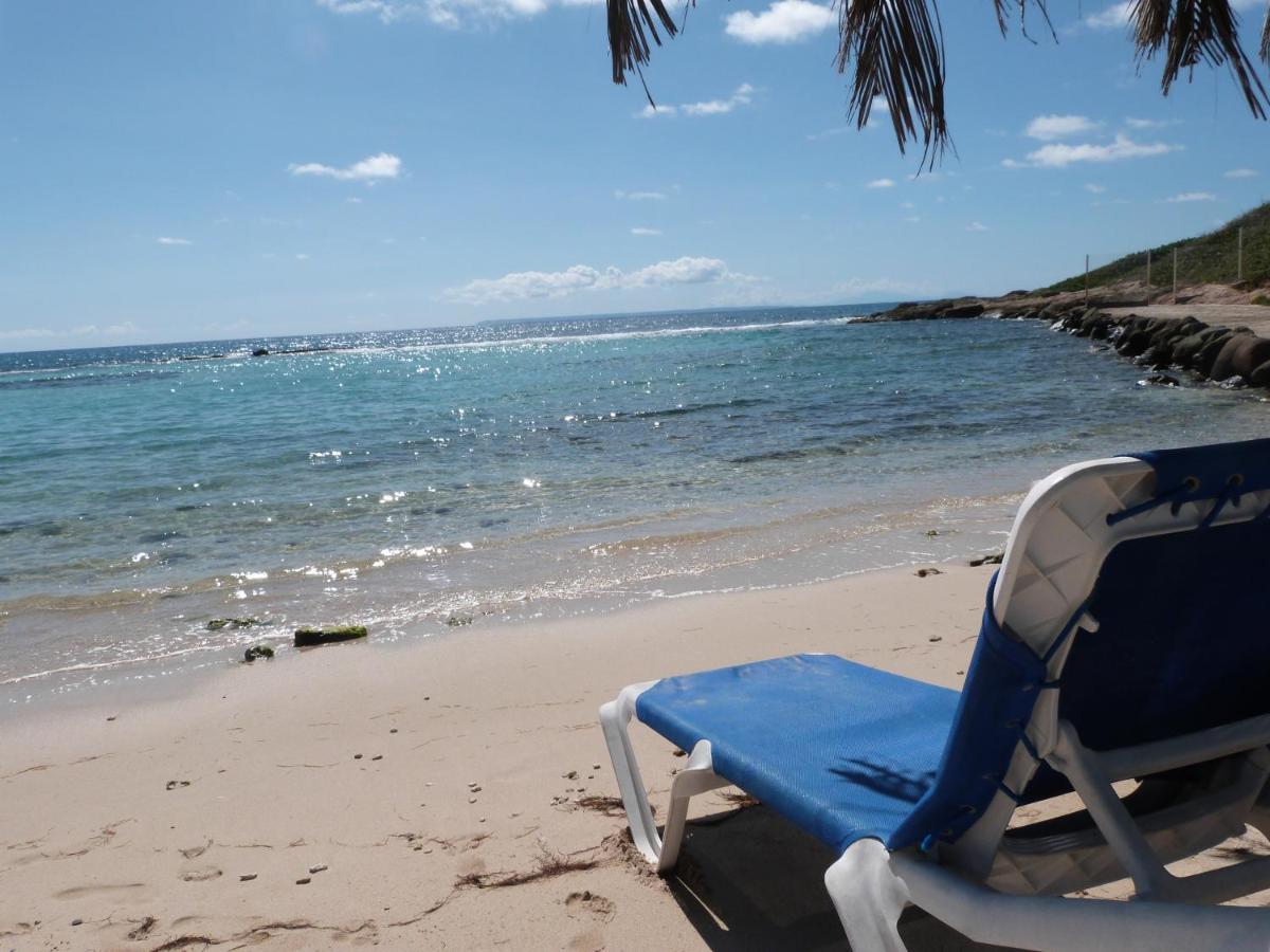 סן-פרנסואה Studio Vue Mer Piscine Plage Kaz Punch Manganao Chez Julie מראה חיצוני תמונה