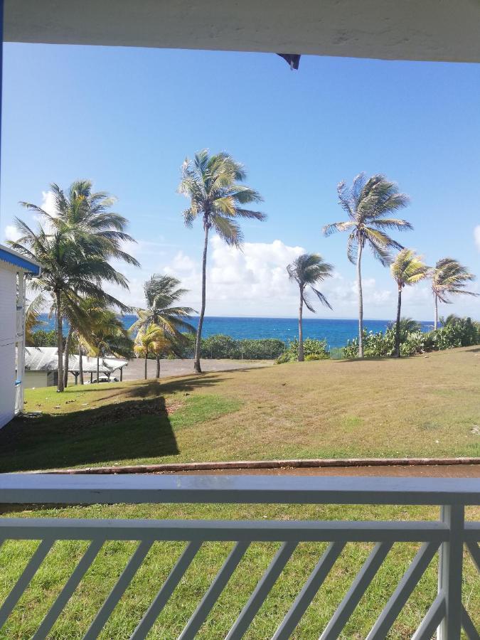 סן-פרנסואה Studio Vue Mer Piscine Plage Kaz Punch Manganao Chez Julie מראה חיצוני תמונה
