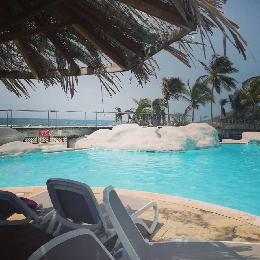 סן-פרנסואה Studio Vue Mer Piscine Plage Kaz Punch Manganao Chez Julie מראה חיצוני תמונה