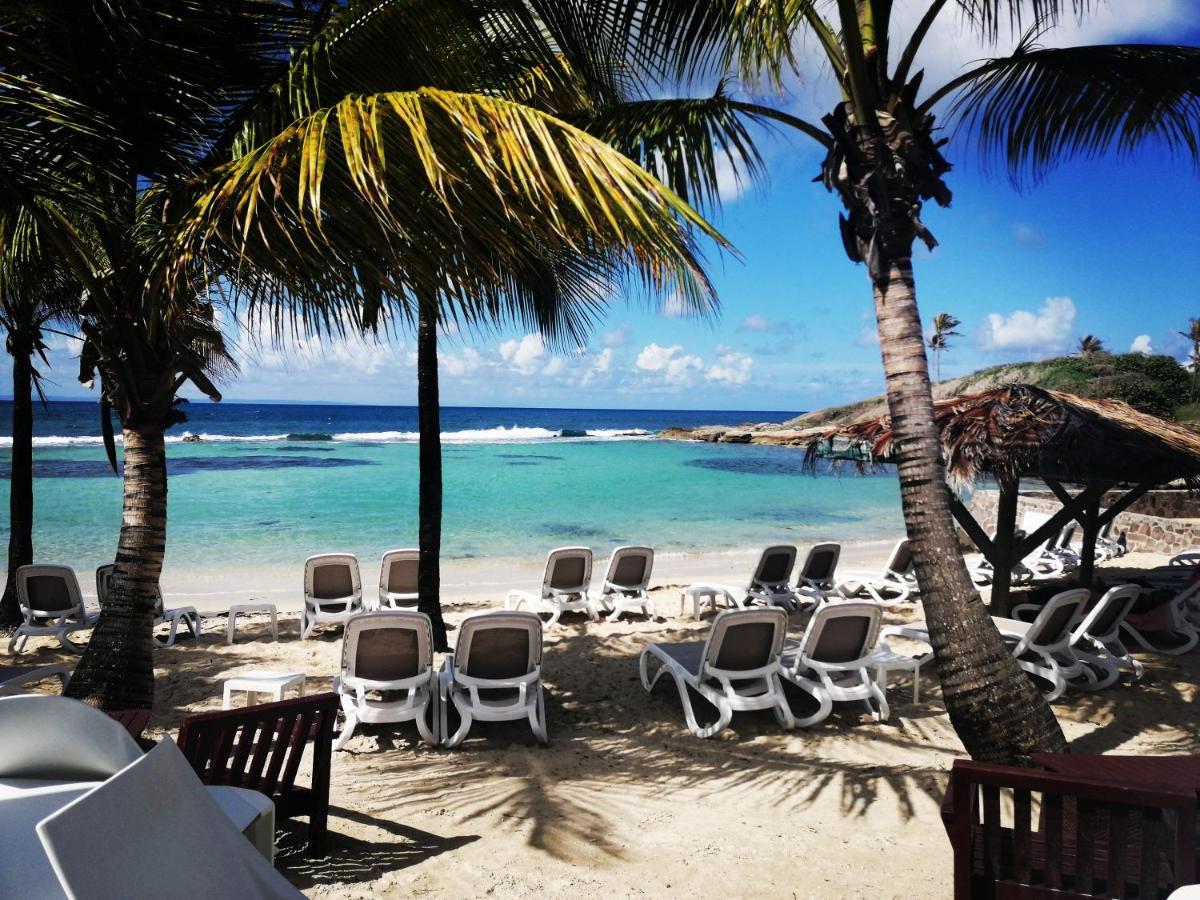 סן-פרנסואה Studio Vue Mer Piscine Plage Kaz Punch Manganao Chez Julie מראה חיצוני תמונה