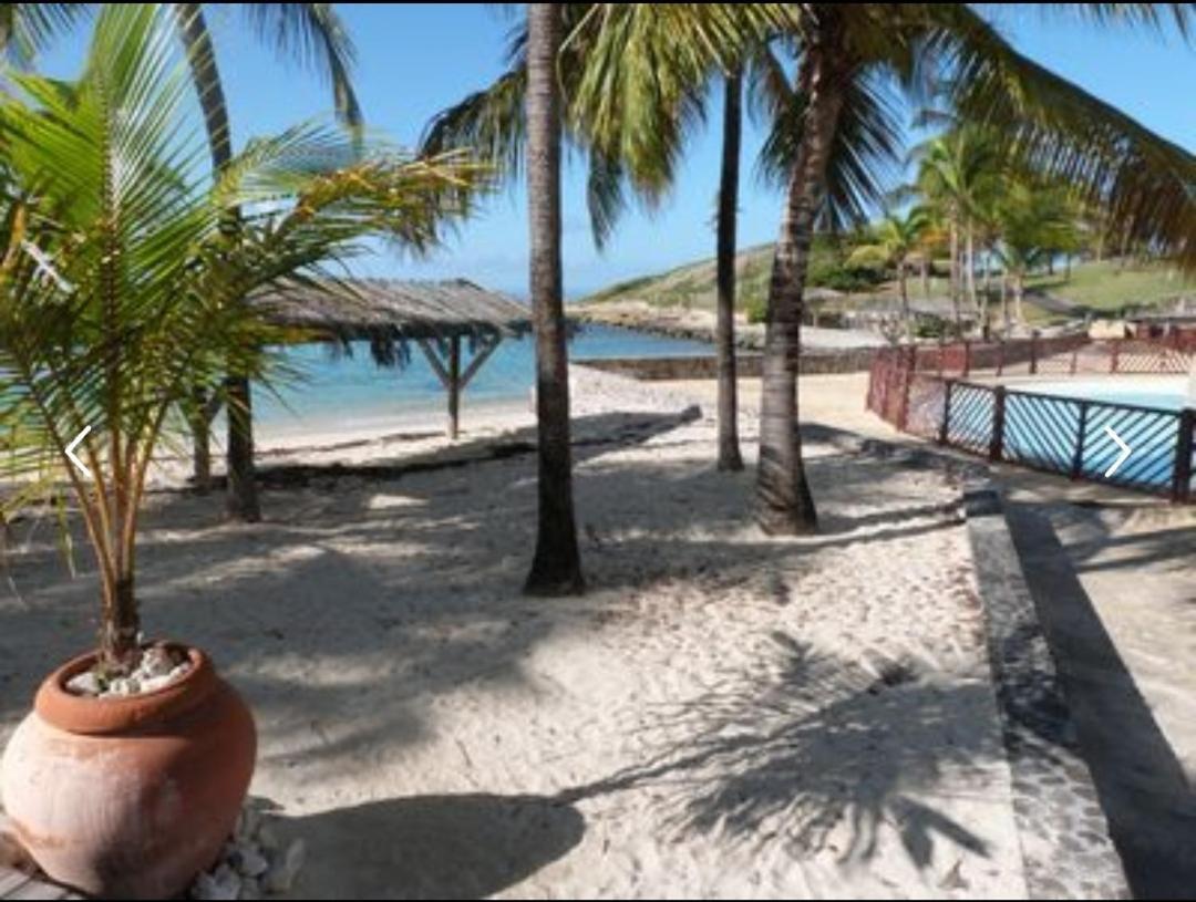 סן-פרנסואה Studio Vue Mer Piscine Plage Kaz Punch Manganao Chez Julie מראה חיצוני תמונה